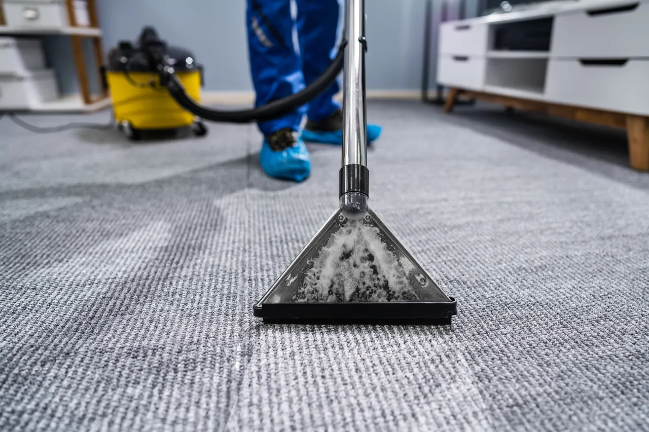 Carpet extraction cleaning in progress